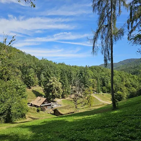 Domaine Du Petit Dorsbach