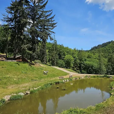 Hébergement de vacances Domaine Du Petit Dorsbach