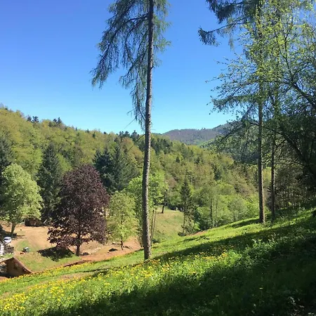 Chalet Domaine Du Petit Dorsbach Soultzbach les Bains